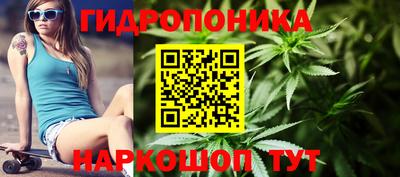 гашик Краснокаменск