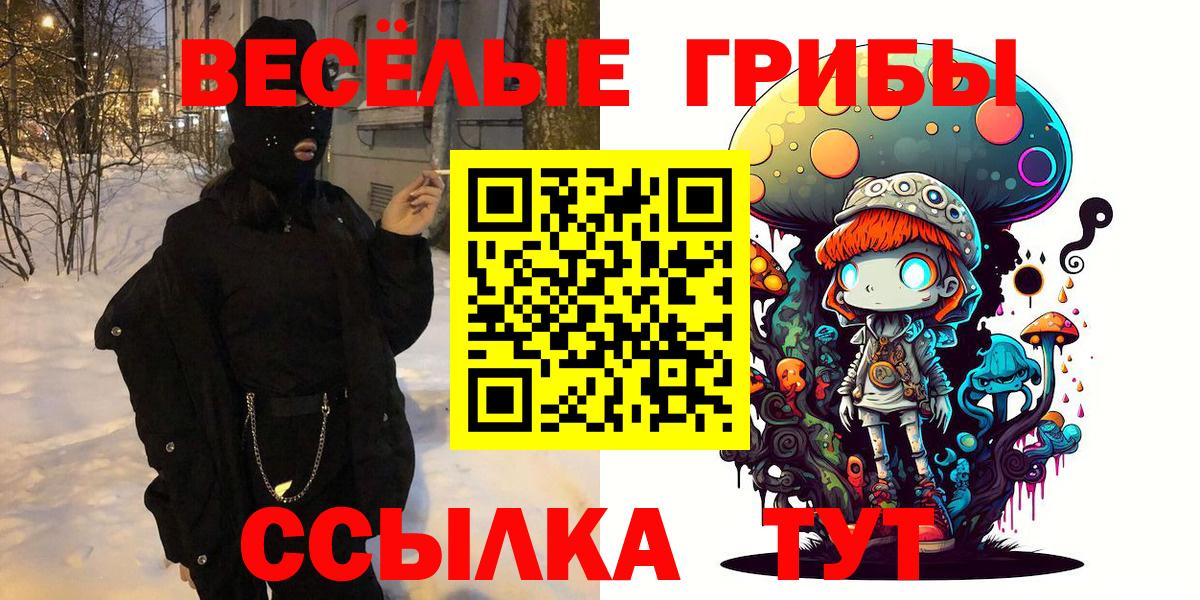 Кольчугино  Галлюциногенные грибы ЛСД  Вход с VPN 