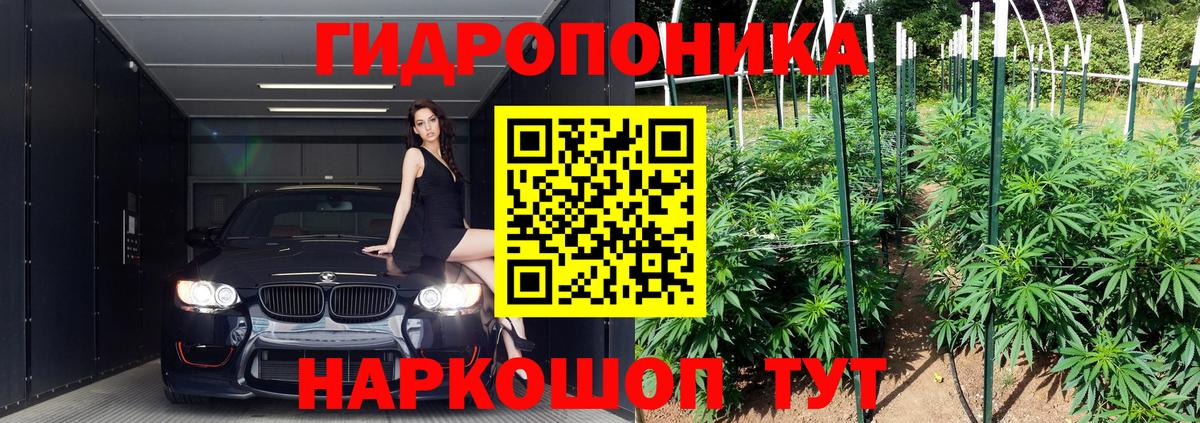 Каннабис индика Кольчугино